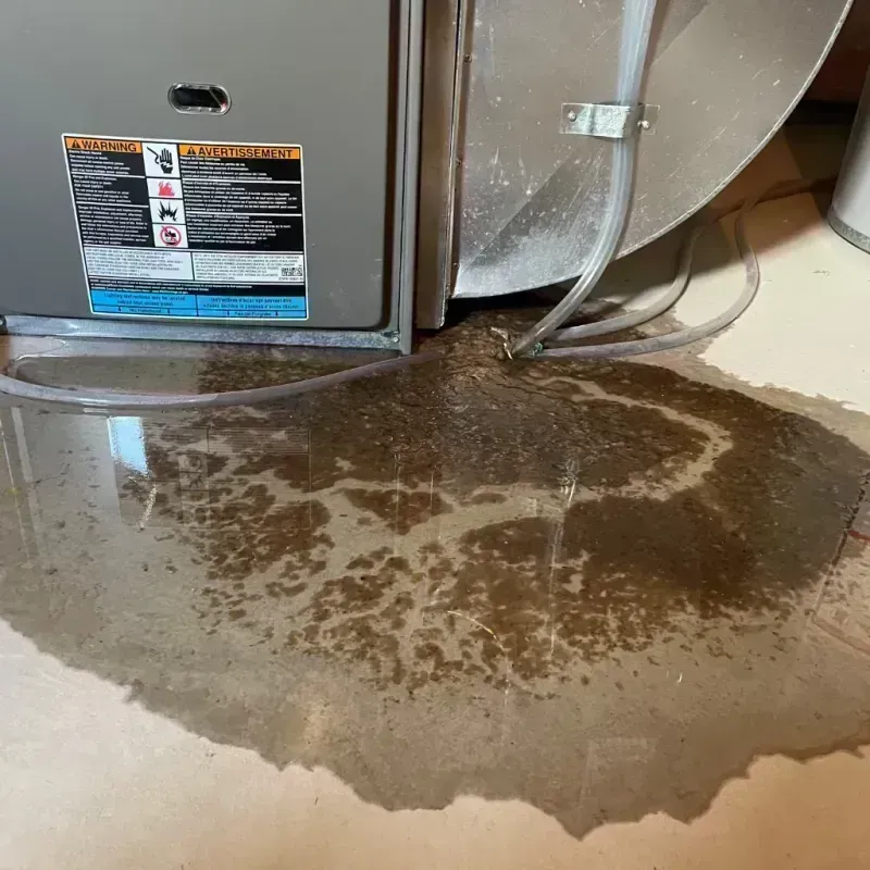 Appliance Leak Cleanup in DuPage County, IL